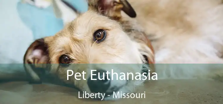 Pet Euthanasia Liberty - Missouri