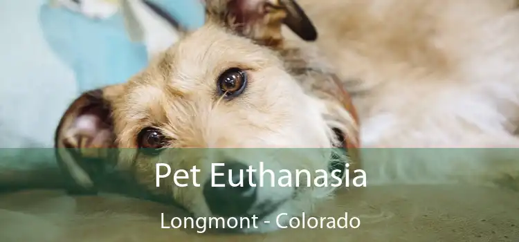 Pet Euthanasia Longmont - Colorado