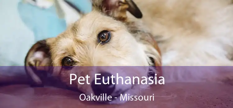 Pet Euthanasia Oakville - Missouri