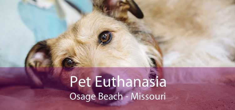 Pet Euthanasia Osage Beach - Missouri