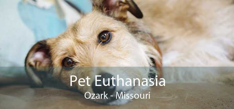 Pet Euthanasia Ozark - Missouri