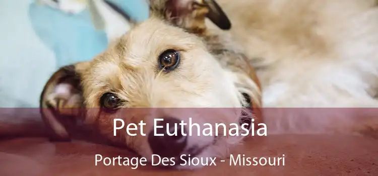 Pet Euthanasia Portage Des Sioux - Missouri