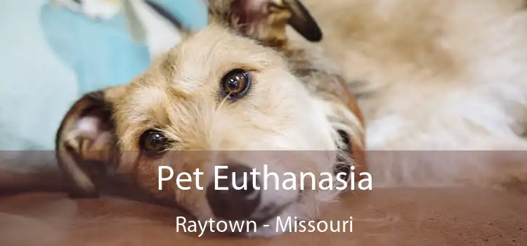 Pet Euthanasia Raytown - Missouri