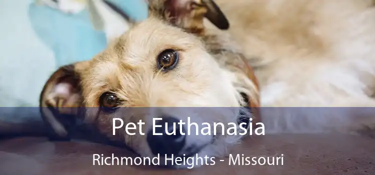 Pet Euthanasia Richmond Heights - Missouri