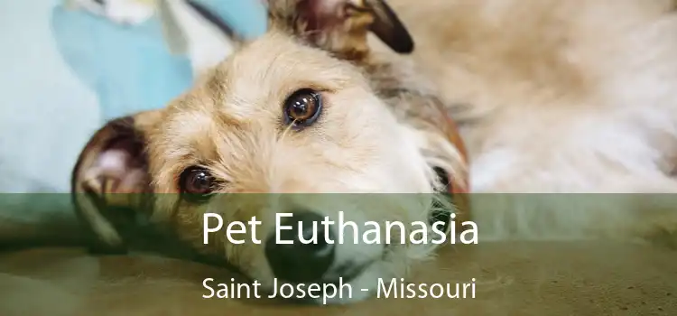 Pet Euthanasia Saint Joseph - Missouri