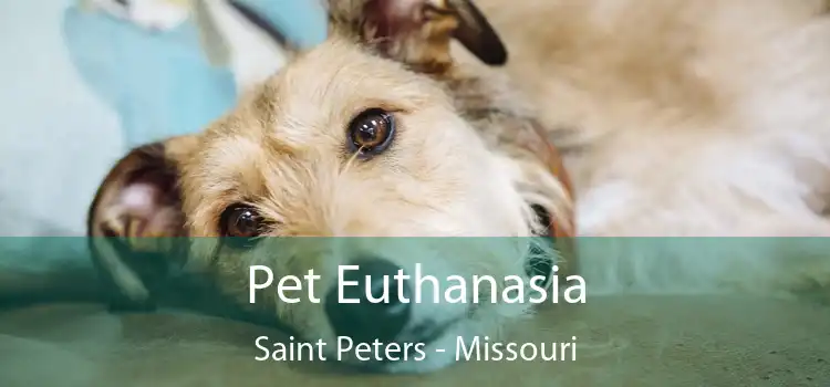 Pet Euthanasia Saint Peters - Missouri
