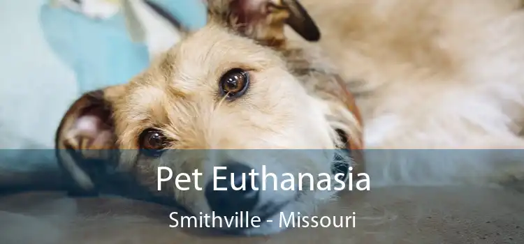 Pet Euthanasia Smithville - Missouri