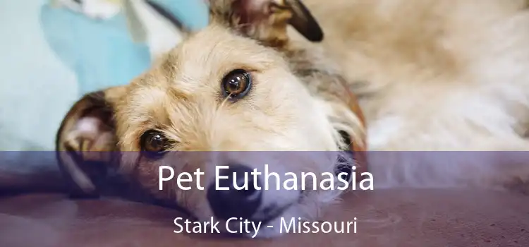 Pet Euthanasia Stark City - Missouri