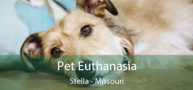 Pet Euthanasia Stella - Missouri