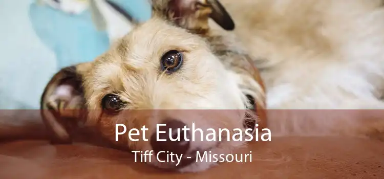Pet Euthanasia Tiff City - Missouri