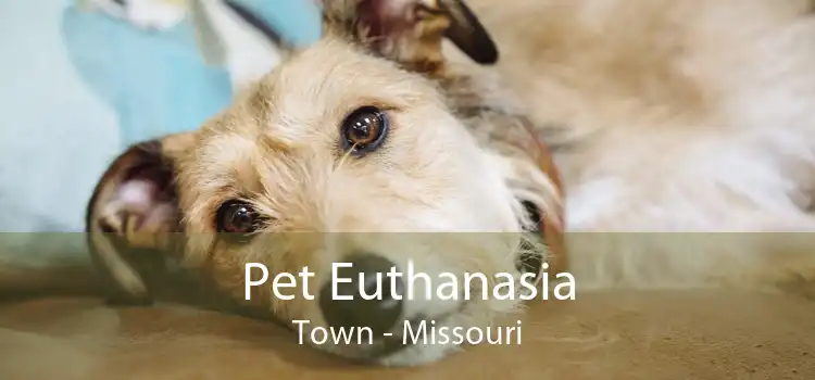 Pet Euthanasia Town - Missouri