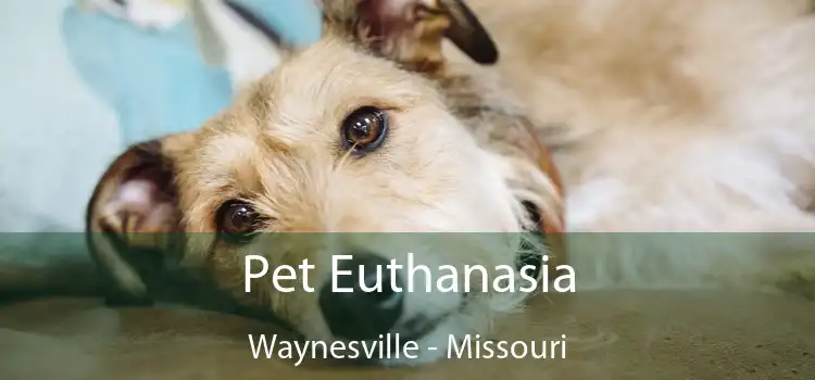 Pet Euthanasia Waynesville - Missouri