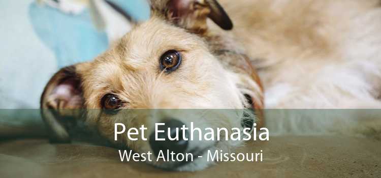Pet Euthanasia West Alton - Missouri