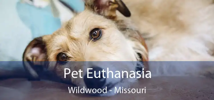 Pet Euthanasia Wildwood - Missouri