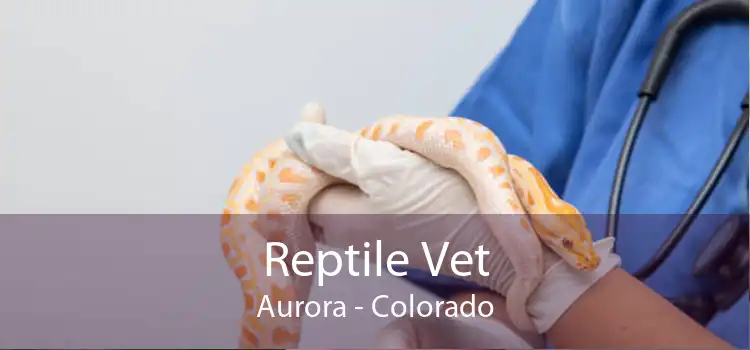 Reptile Vet Aurora - Colorado