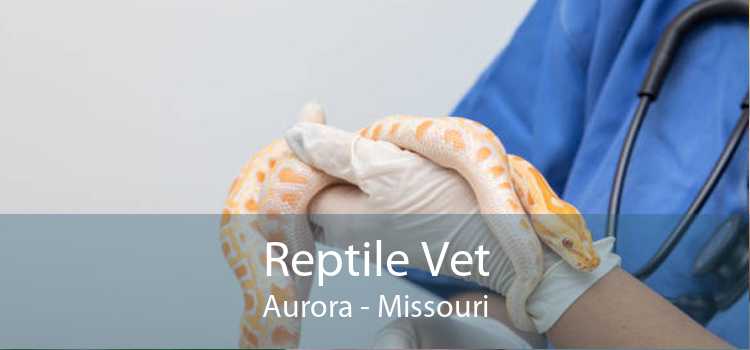 Reptile Vet Aurora - Missouri
