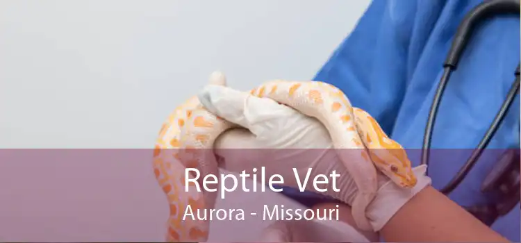 Reptile Vet Aurora - Missouri