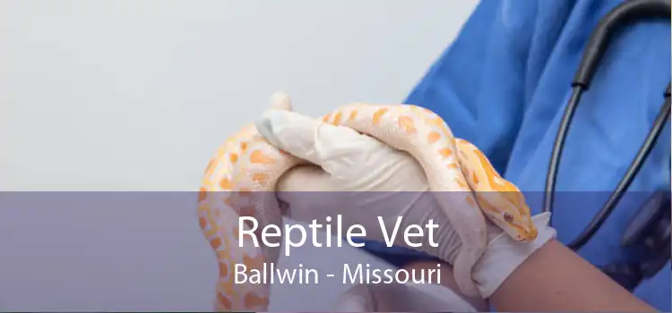 Reptile Vet Ballwin - Missouri