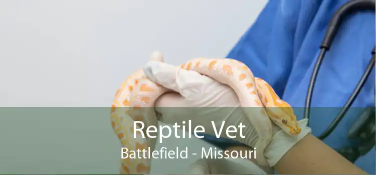 Reptile Vet Battlefield - Missouri