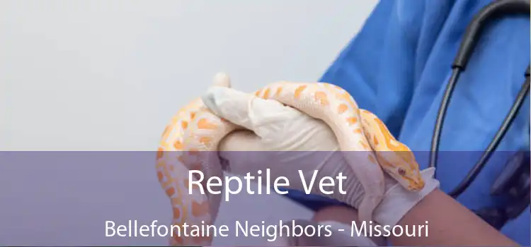 Reptile Vet Bellefontaine Neighbors - Missouri