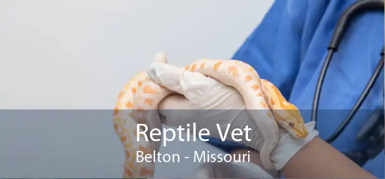 Reptile Vet Belton - Missouri
