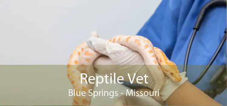 Reptile Vet Blue Springs - Missouri