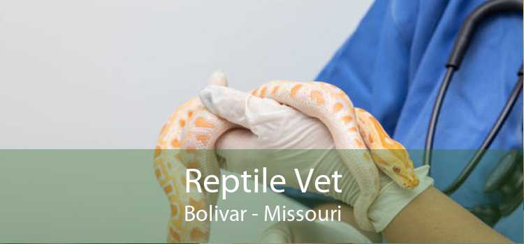 Reptile Vet Bolivar - Missouri