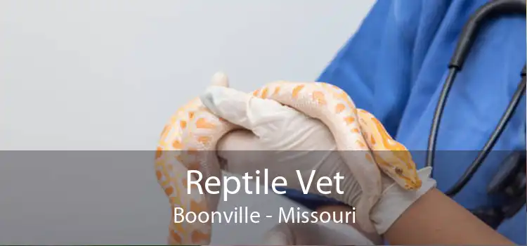 Reptile Vet Boonville - Missouri