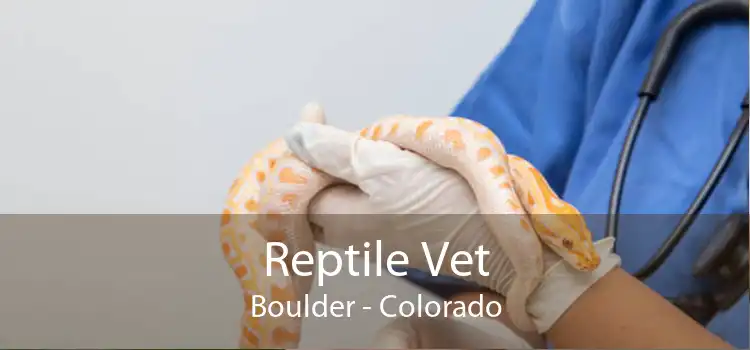 Reptile Vet Boulder - Colorado