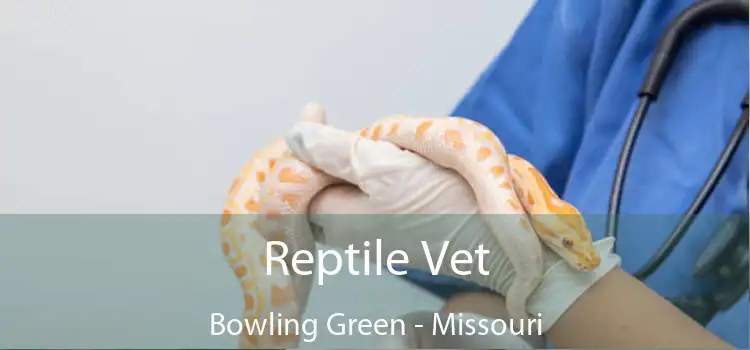 Reptile Vet Bowling Green - Missouri