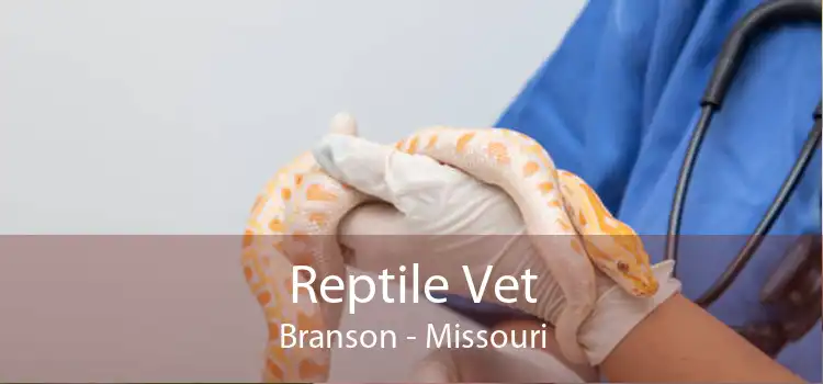 Reptile Vet Branson - Missouri