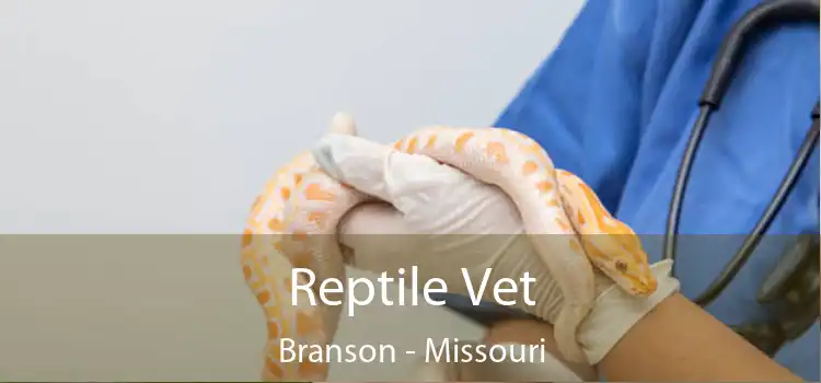 Reptile Vet Branson - Missouri