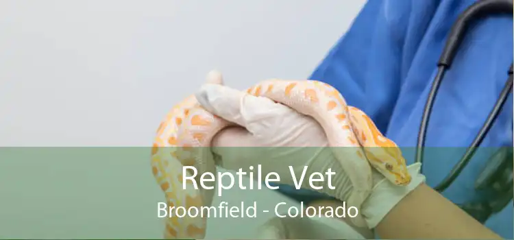 Reptile Vet Broomfield - Colorado