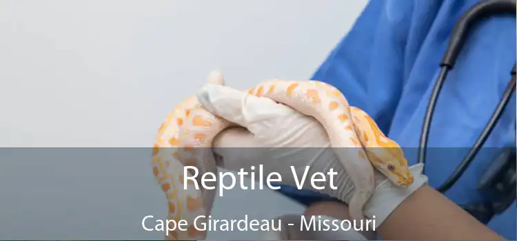 Reptile Vet Cape Girardeau - Missouri