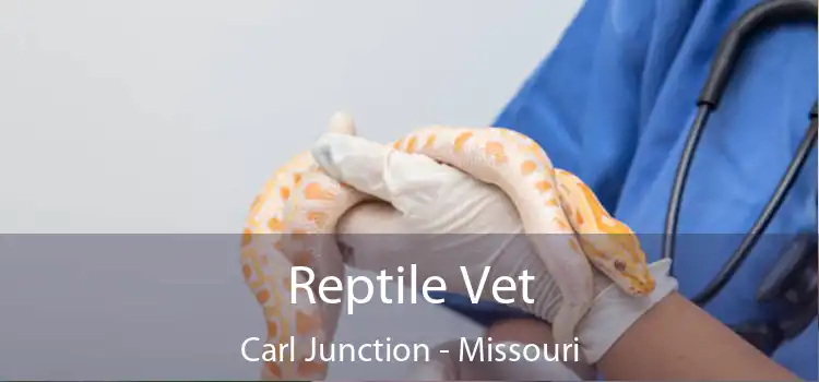 Reptile Vet Carl Junction - Missouri