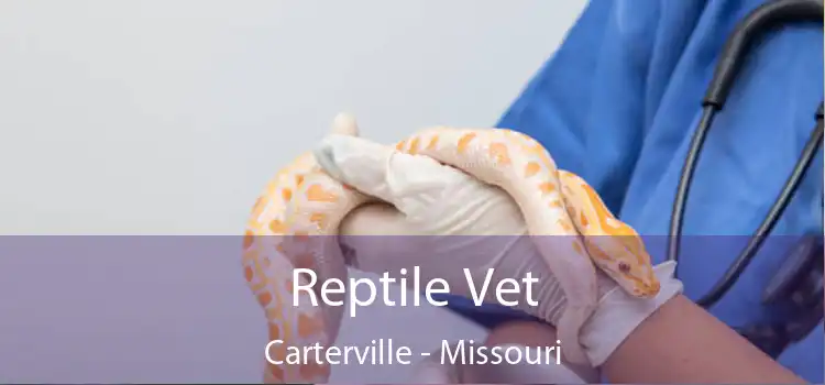 Reptile Vet Carterville - Missouri