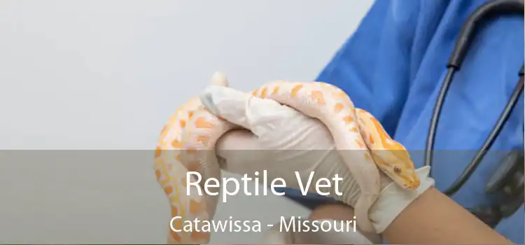 Reptile Vet Catawissa - Missouri