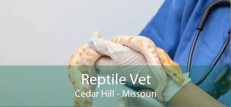 Reptile Vet Cedar Hill - Missouri