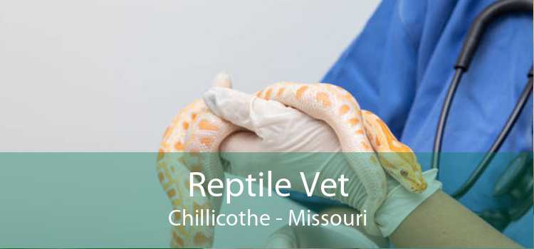 Reptile Vet Chillicothe - Missouri
