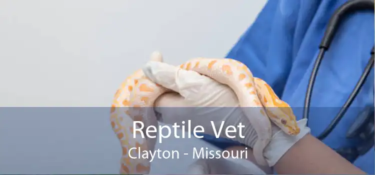 Reptile Vet Clayton - Missouri