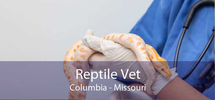 Reptile Vet Columbia - Missouri