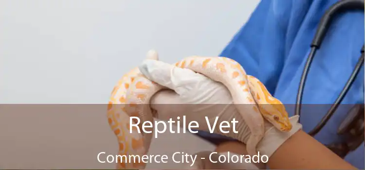 Reptile Vet Commerce City - Colorado
