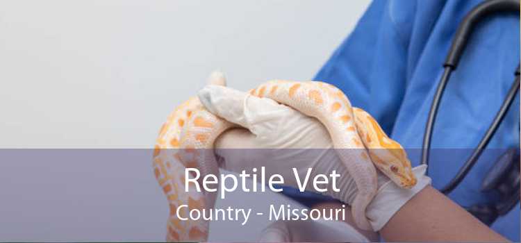 Reptile Vet Country - Missouri