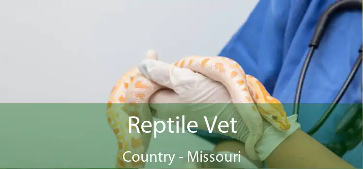 Reptile Vet Country - Missouri