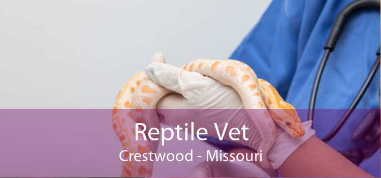 Reptile Vet Crestwood - Missouri