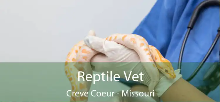 Reptile Vet Creve Coeur - Missouri