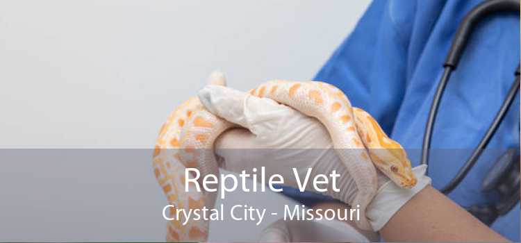 Reptile Vet Crystal City - Missouri