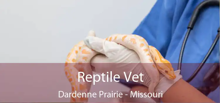 Reptile Vet Dardenne Prairie - Missouri