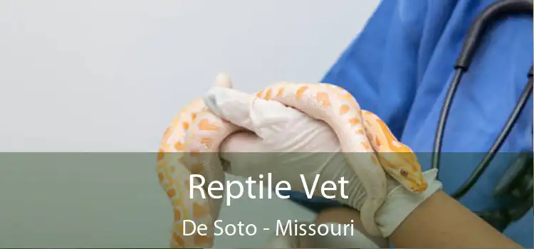 Reptile Vet De Soto - Missouri