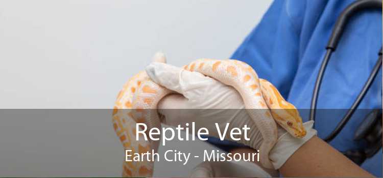 Reptile Vet Earth City - Missouri